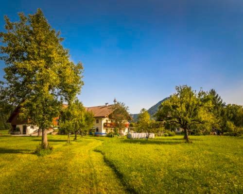 Unterwoehrlehen Apartment Faistenau Ngoại thất bức ảnh